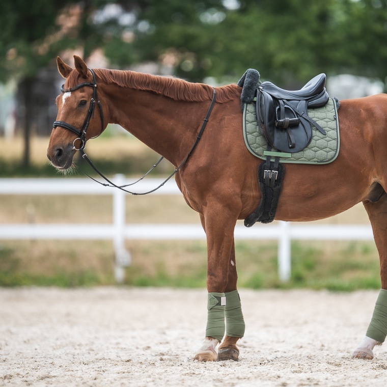 MATTES Shoppable Image Dummy 2